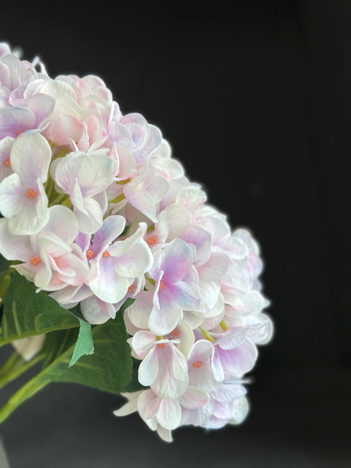 ORTANCA DAL 62 CM (LT PİNK)