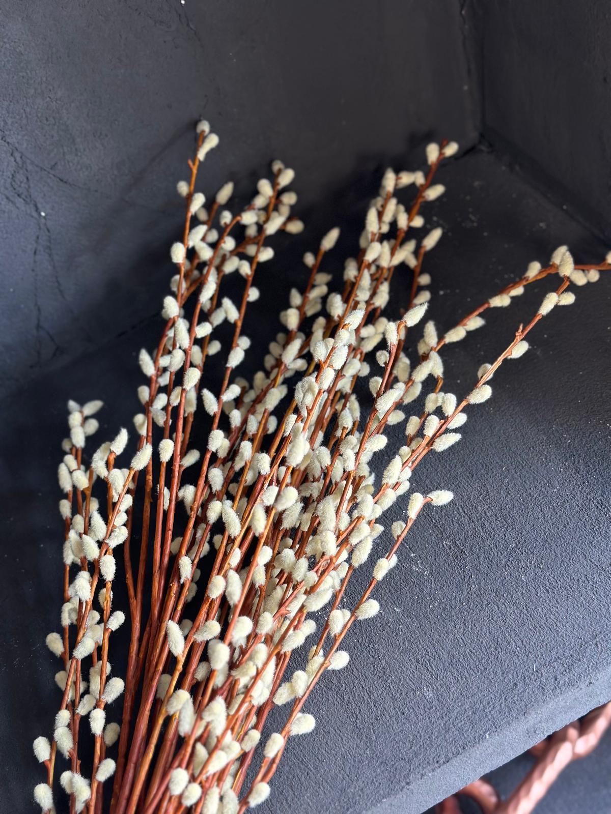 PUSSY WILLOW SPRAY 114 CM (CREAM)