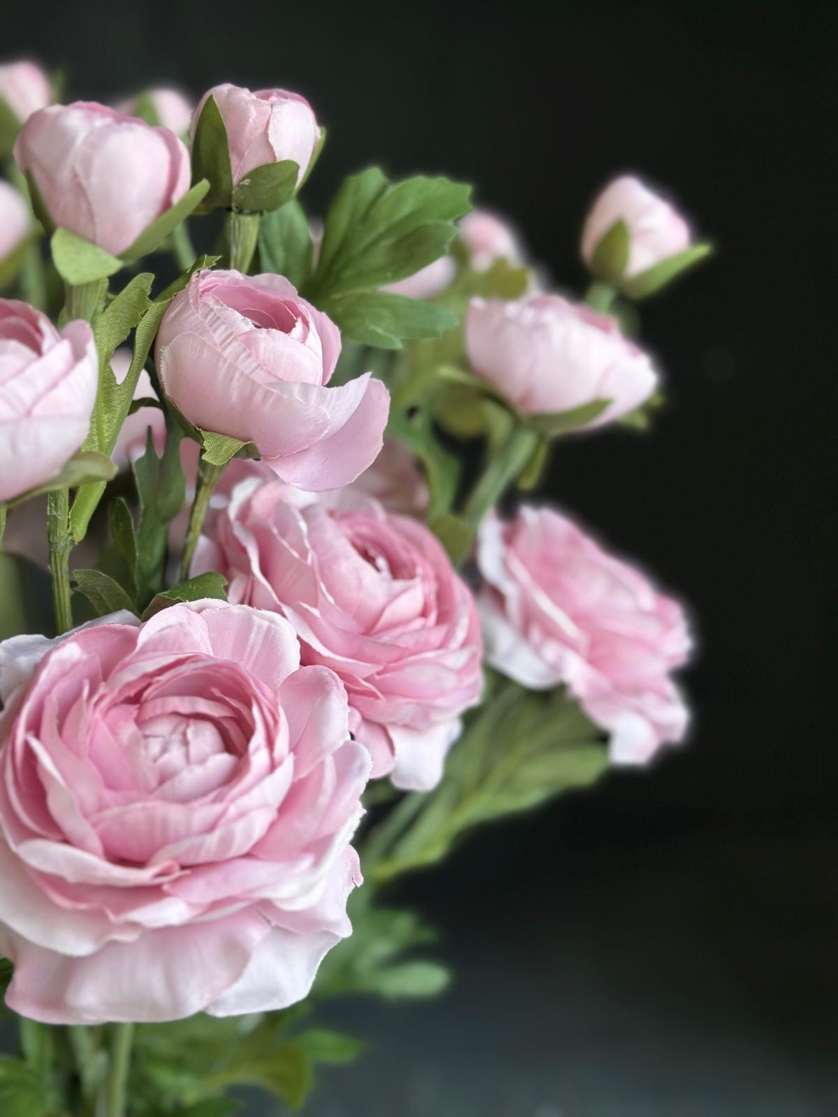 RANUNCULUS DAL 72 CM (PİNK)