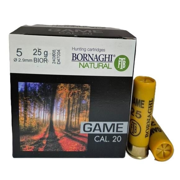 Bornaghi Game 2       Bior 20/25