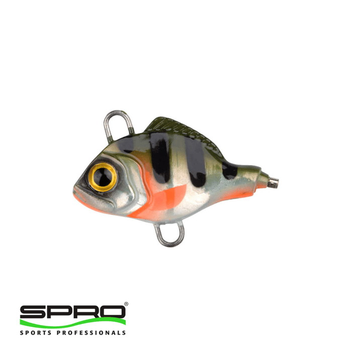 SPRO Asp Spinner UV Natural Perch 7G Jig