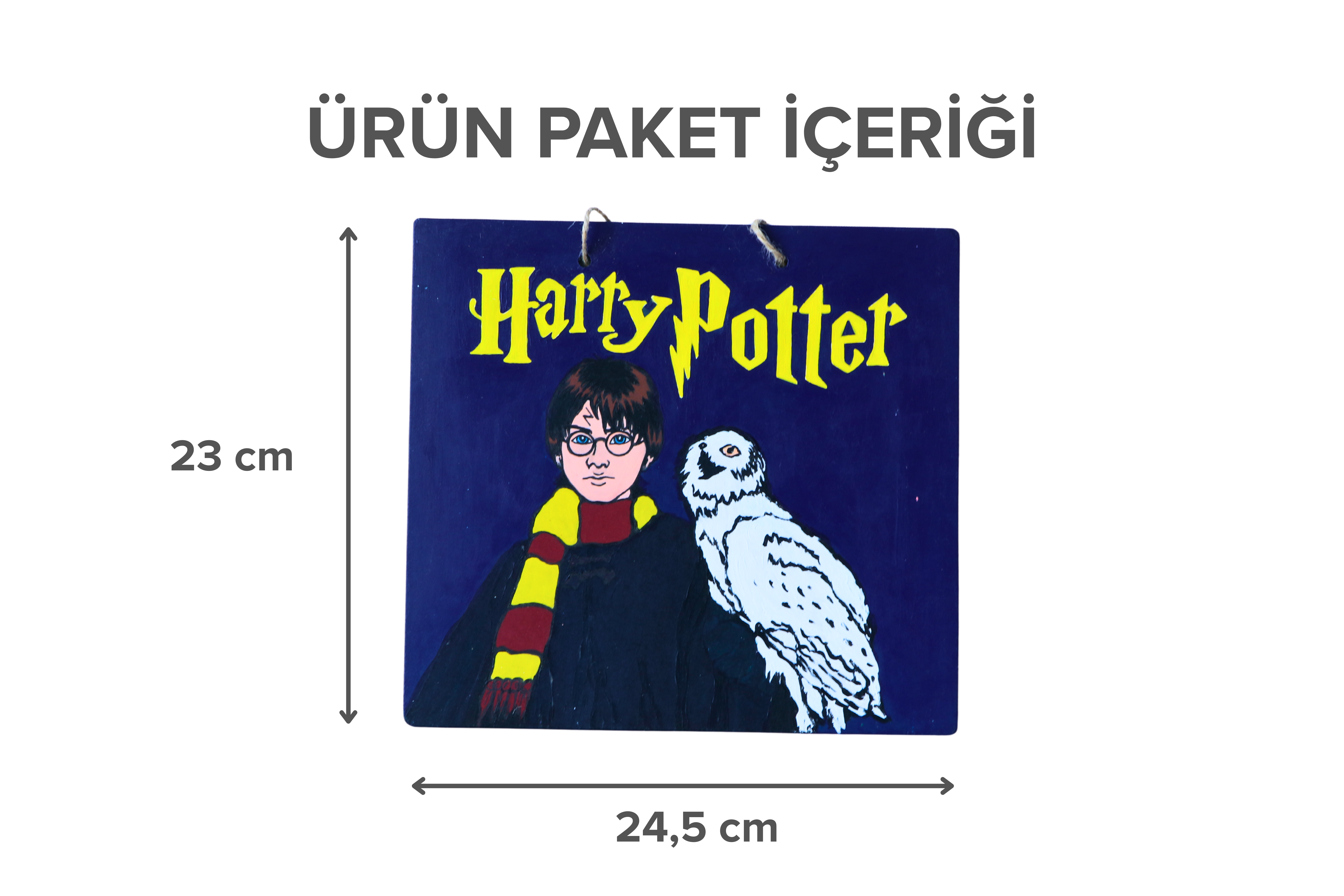 Dikdörtgen Duralit Üzerine Akrilik Boya - Harry Potter Desenli Tablo (23 x 24,5 cm)