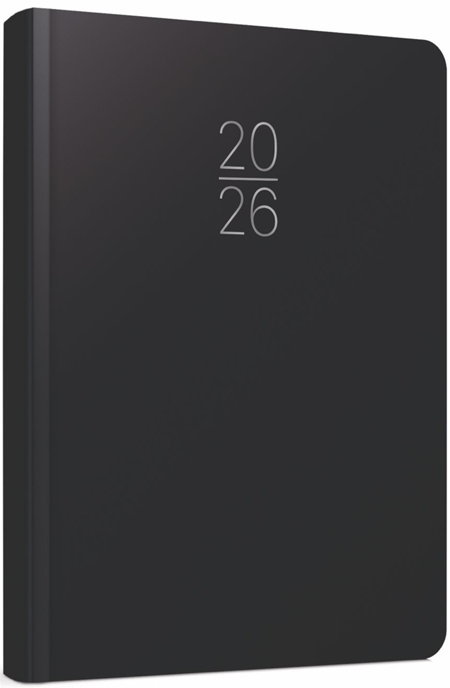 GIPTA AJANDA EKO.CİLT BEZİ 17X24 107-ECK