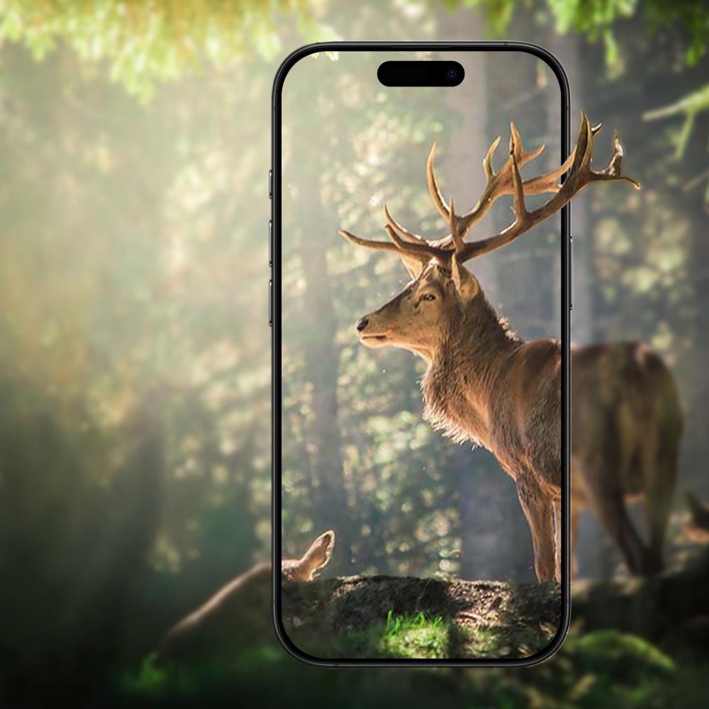 Apple iPhone 17 Air Zore Mikro Kamera Lens Koruyucu
