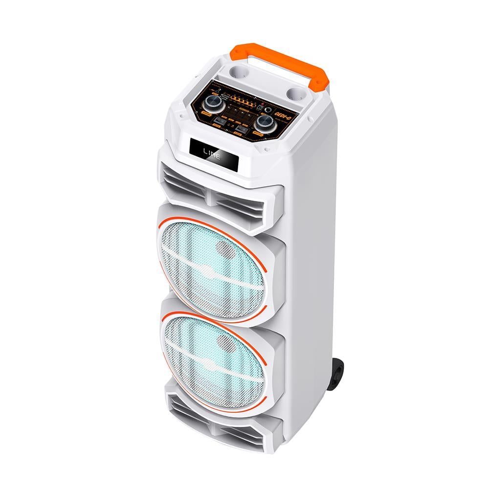 Zore GD-2828 Dijital LED Göstergeli Mikrofonlu RGB TWS Çift 8 inç Stereo Bass Kablosuz Karaoke Hoparlör