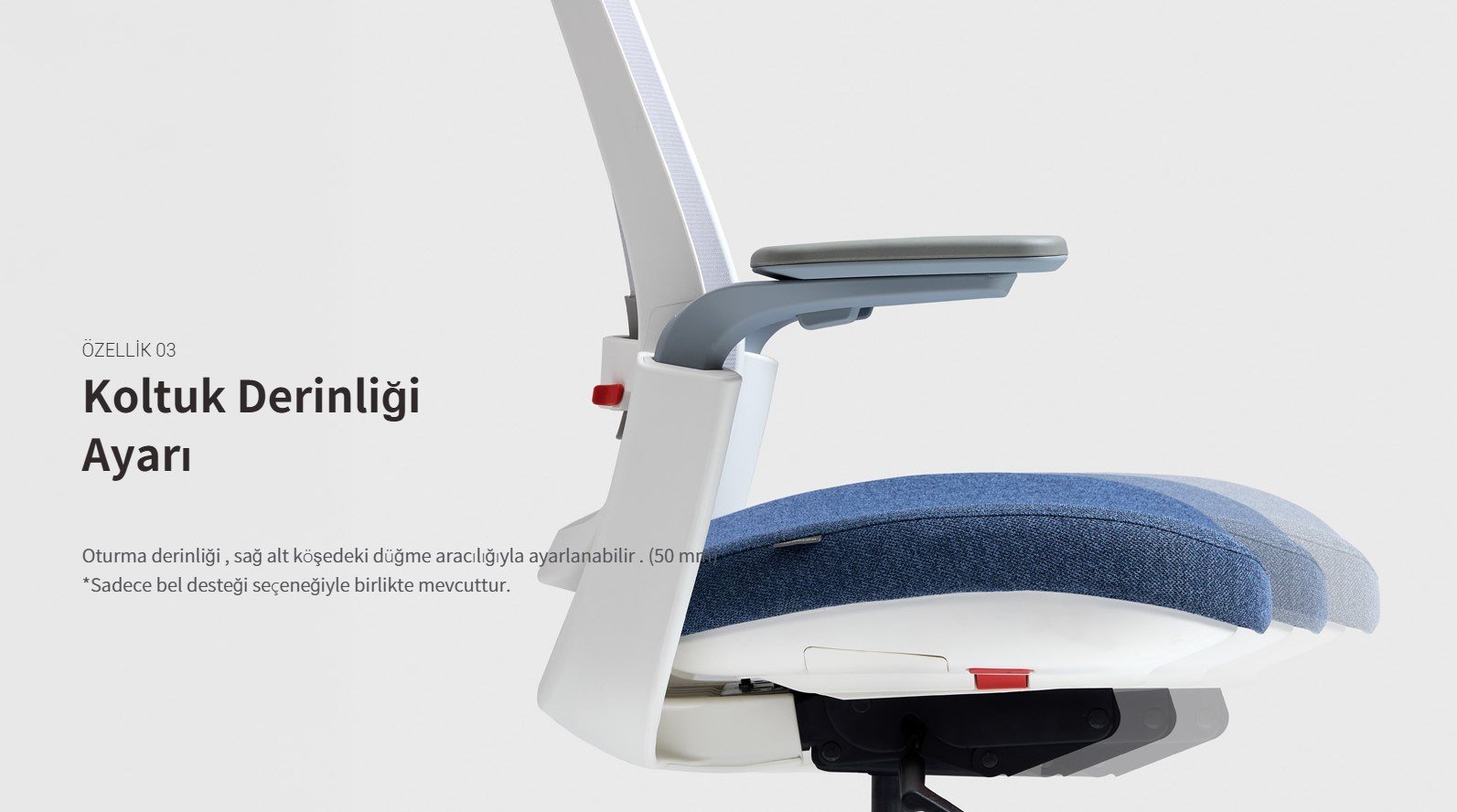 Bestuhl J18 Yönetici ve Çalışma Koltuğu, Çalışma Sandalyesi, Yönetici Koltuğu