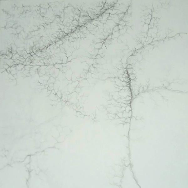 Palm