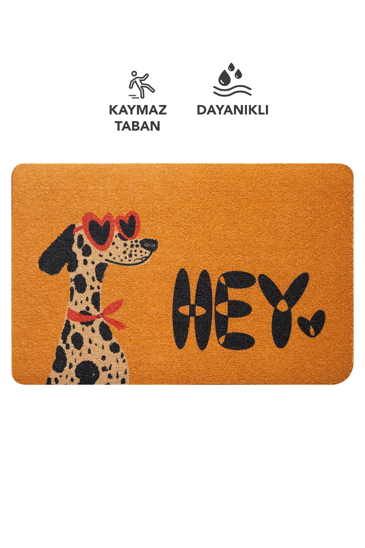 CocoJoy PJ009A Hey Köpek Desenli Kalın Kaymaz Taban Nem Alıcı Şık Tasarım Kapı Önü Paspası
