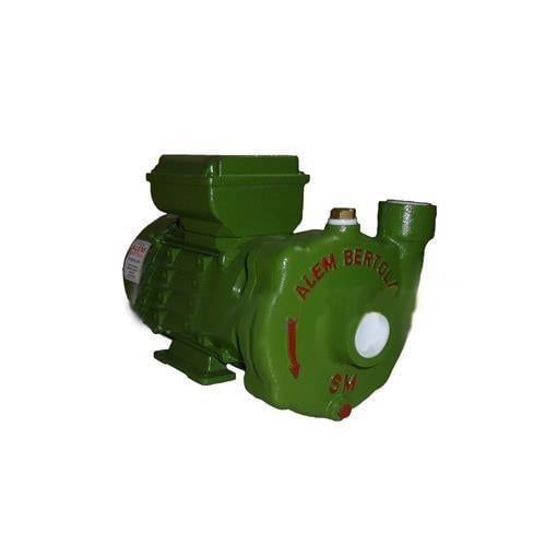 alem-bertola-sm-0-736-8b.jpg