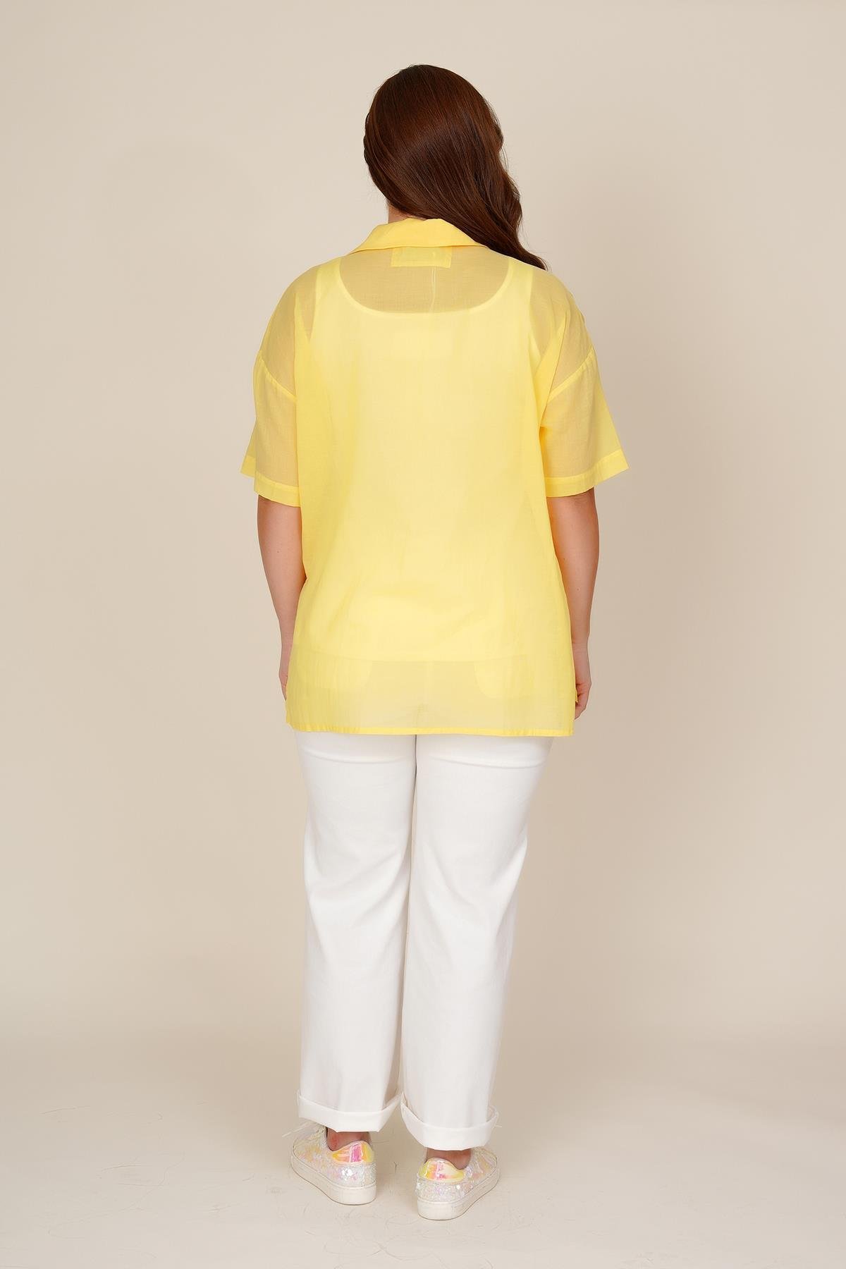 53611-bluz-7a-499.jpg