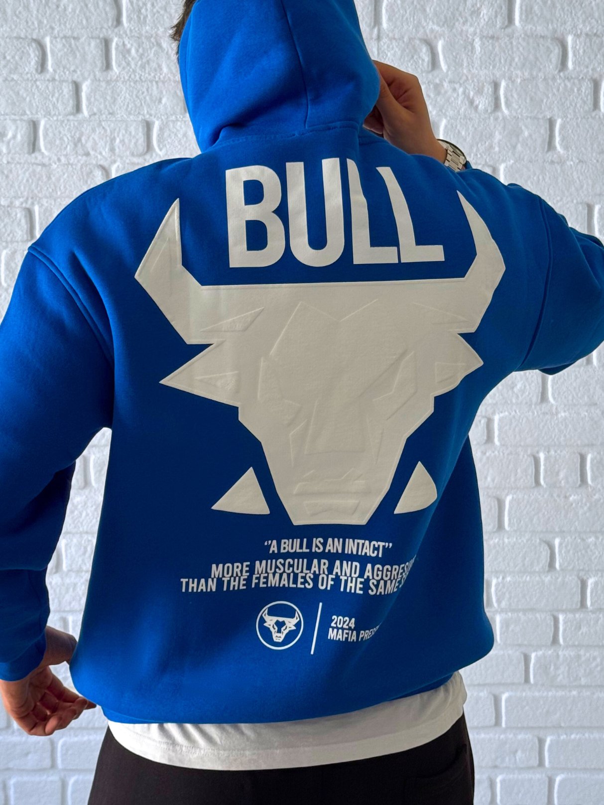 Premium Kalite Oversize Kalıp Yüksek Kaliteli Baskı Sweatshirt- Mavi / SWT01
