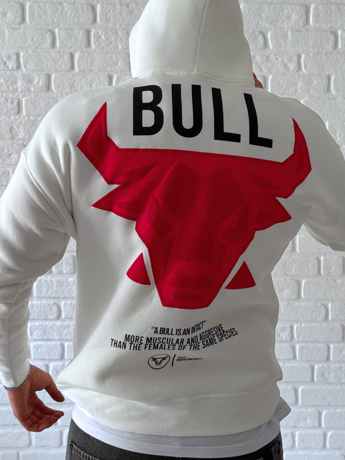 Premium Kalite Oversize Kalıp Yüksek Kaliteli Baskı Sweatshirt- Beyaz/ SWT01