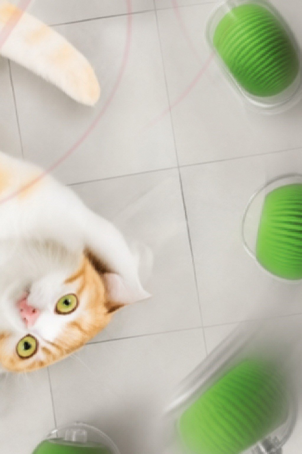 ŞARJLI KEDİ TOPU IŞIKLI HAREKETLİ 3 MODLU KEDİ OYUNCAĞI C02 YEŞİL