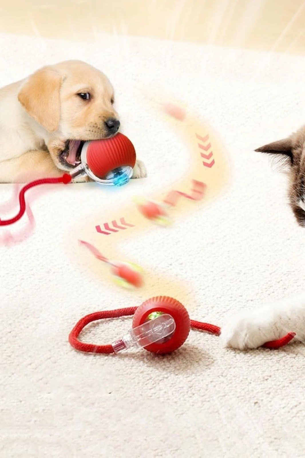 ŞARJLI KEDİ TOPU IŞIKLI HAREKETLİ 3 MODLU KEDİ OYUNCAĞI KIRMIZI C02