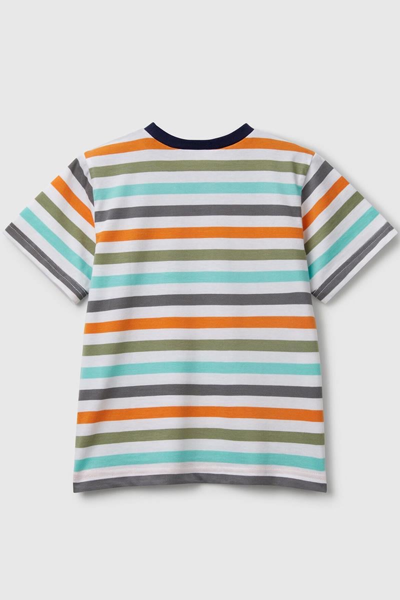 Erkek Çocuk BNT-BB ÇİZGİLİ TSHIRT Mix