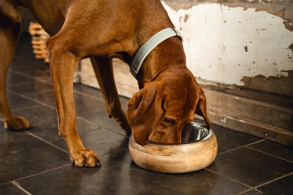 Beeztees DBL Köpek Mama Su Kabı, Dışı Masif Ahşap, Paslanmaz Çelik, 21cm, 1300ml