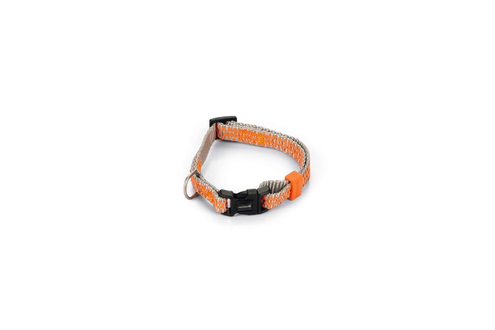 Beeztees Köpek Boyun Tasması, Açık Gri Turuncu, 20-30cm