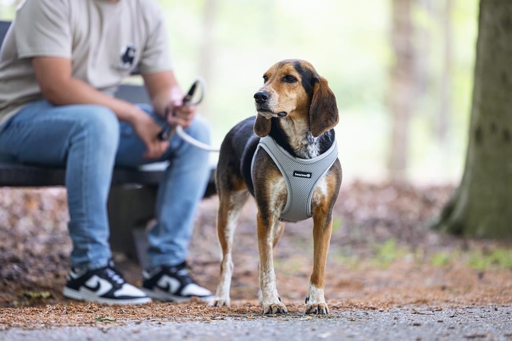 Beeztees Köpek Göğüs Tasması, Neopren, Gri, M, 41-46cm