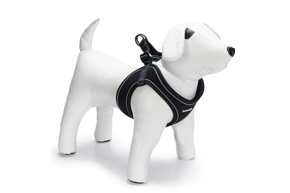 Beeztees Köpek Göğüs Tasması, Neopren, Siyah, S, 38-44cm
