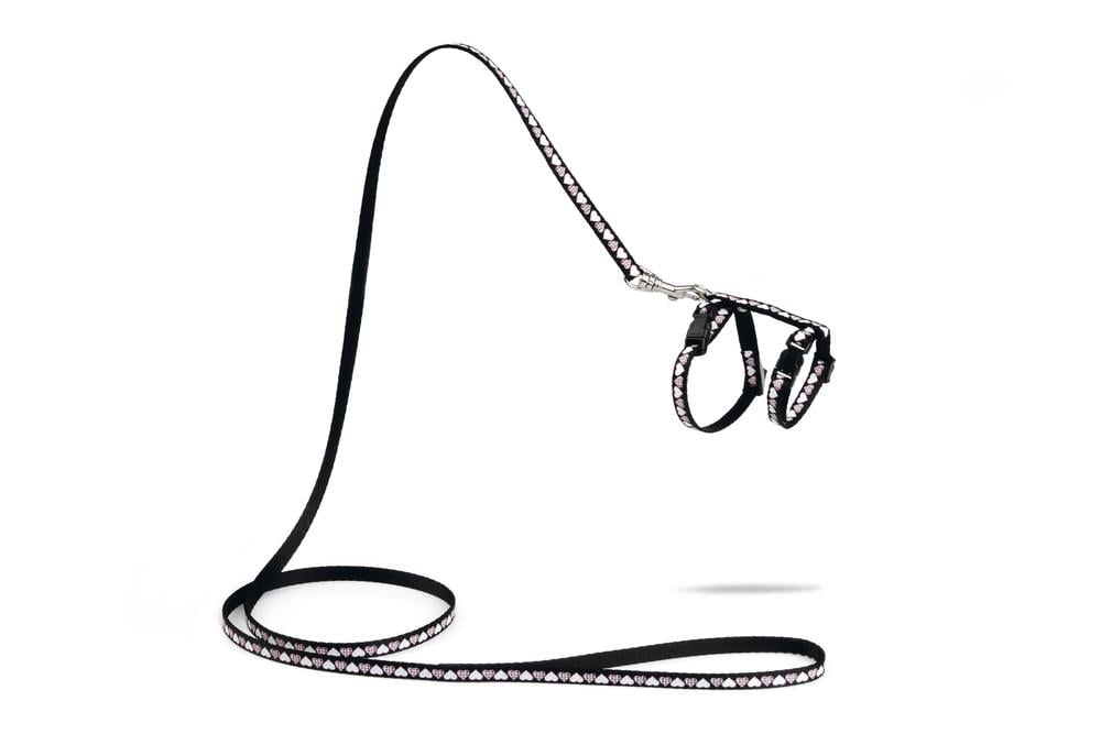 Beeztees Yavru Kedi Göğüs Tasması ve Gezdirme Kayışı 120cm, Siyah, 16-25cm Boyun, 23-36cm Göğüs