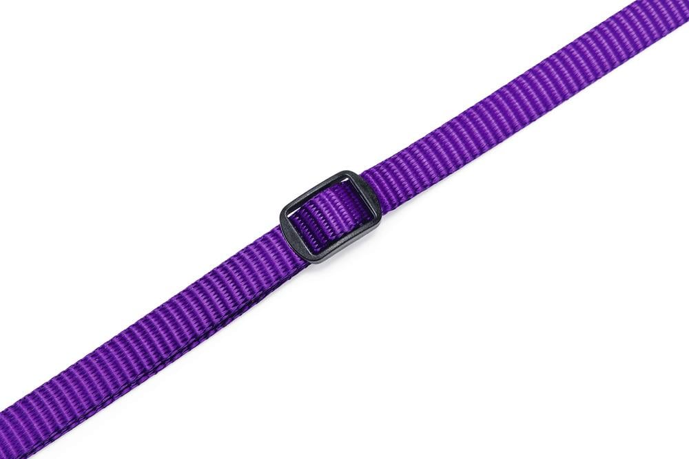 Beeztees Yavru Köpek Boyun Tasması, Çeşitli Renklerde, 22-35cm, 10mm