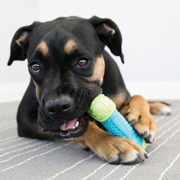 Kong Core Strength Köpek Çiğneme Oyuncağı 13.5 Cm