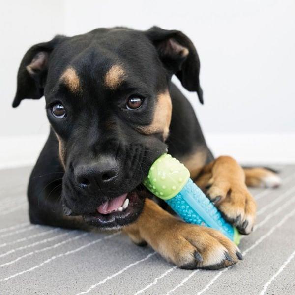 Kong Core Strength Köpek Çiğneme Oyuncağı 13.5 Cm
