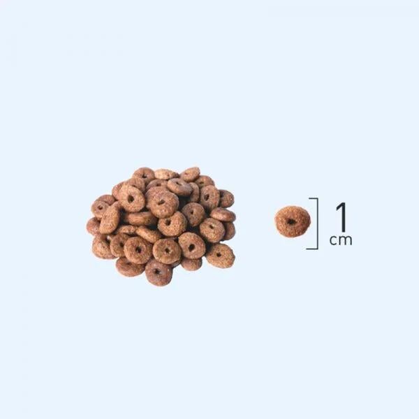 Natura Adult Düşük Tahıllı Kuzu Etli ve Yaban Mersinli Yetişkin Kedi Maması 2.25 Kg