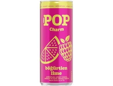Dimes 250 Ml Teneke Böğürtlen Lime x12 li Koli