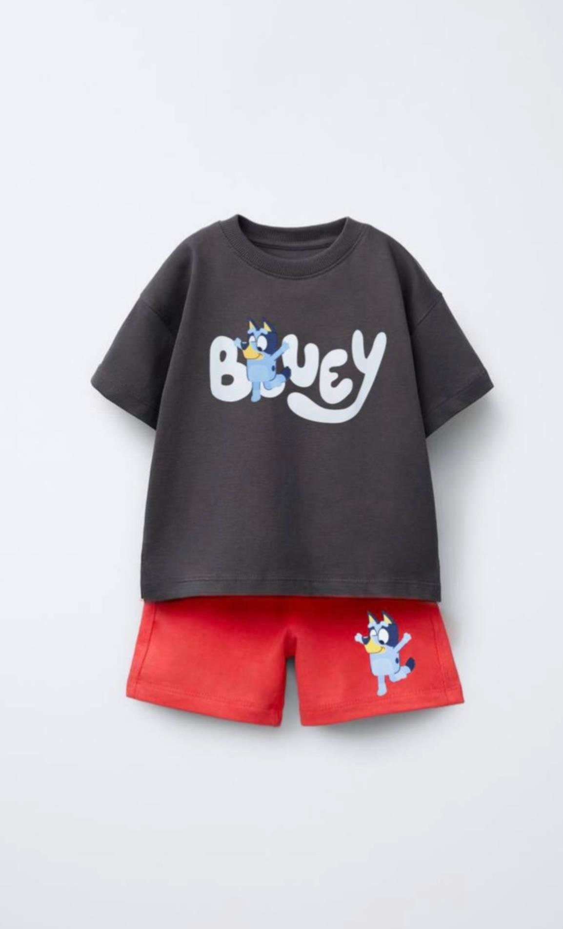 Bluey Takım