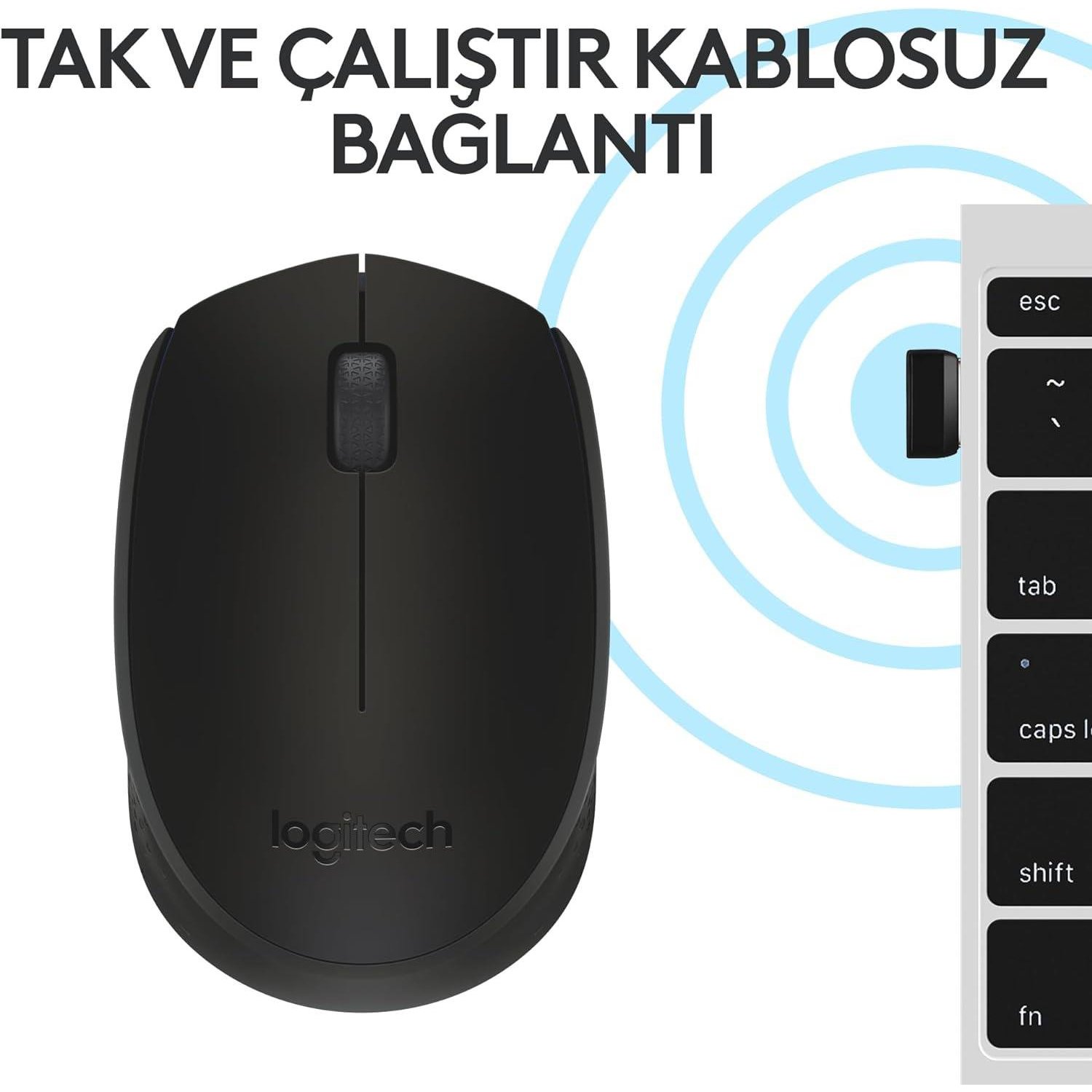 Logitech B170 Nano Mouse Kablosuz Siyah 910-004798