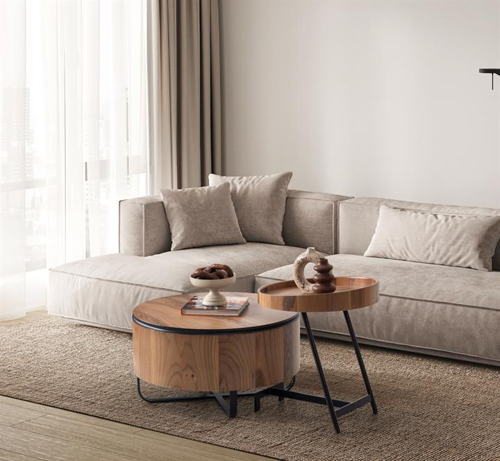 Dekorbizden Loft Orta Sehpa