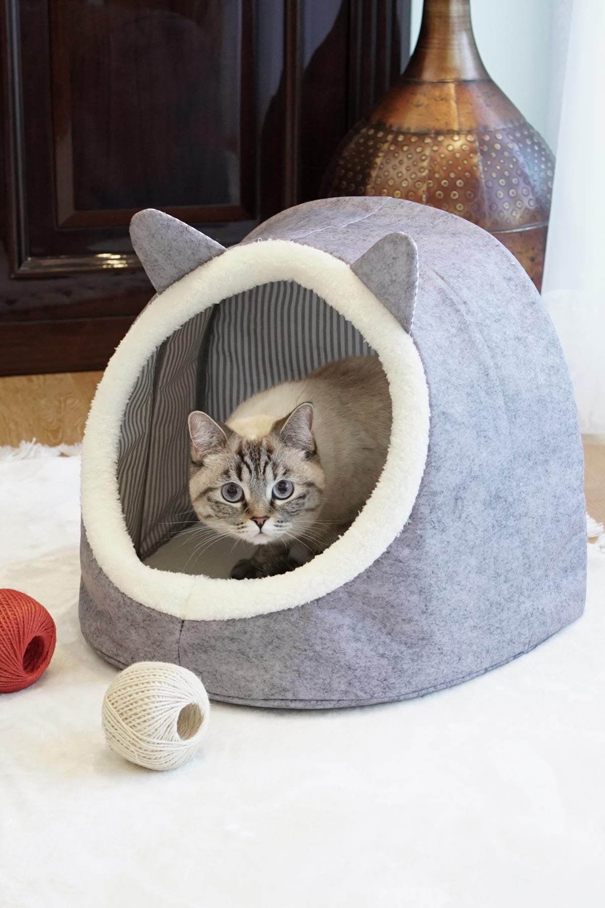 KEDİ KÖPEK EVİ