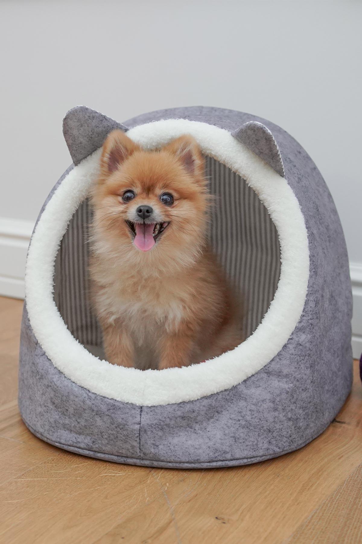KEDİ KÖPEK EVİ