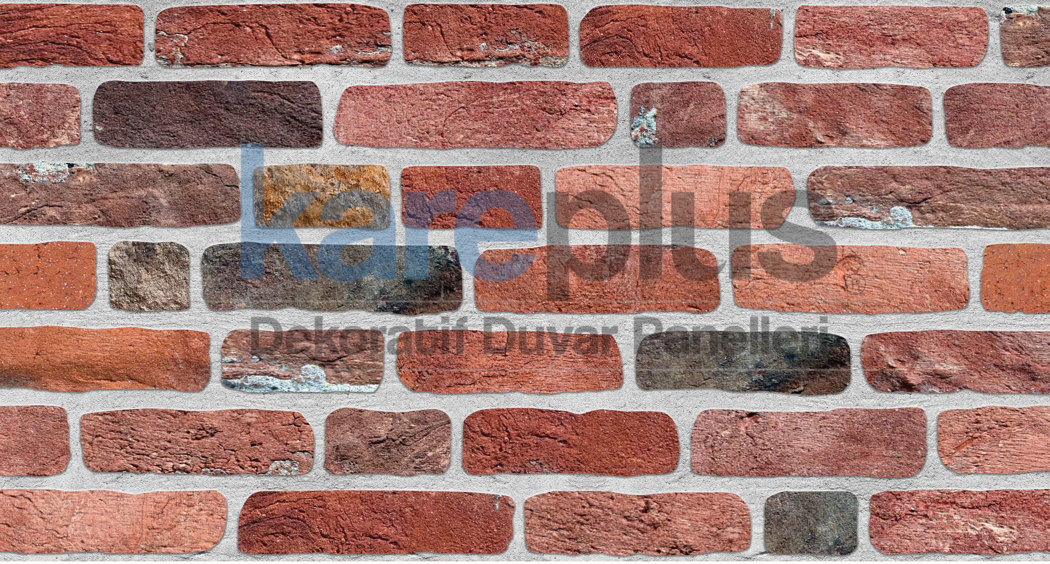 TD06-119 BOYALI PANEL