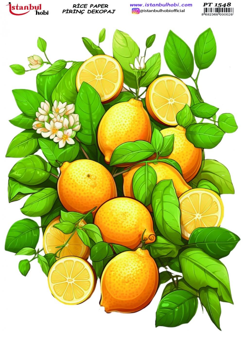 İstanbul Hobi Limon Temalı Pirinç Dekopaj pt1548
