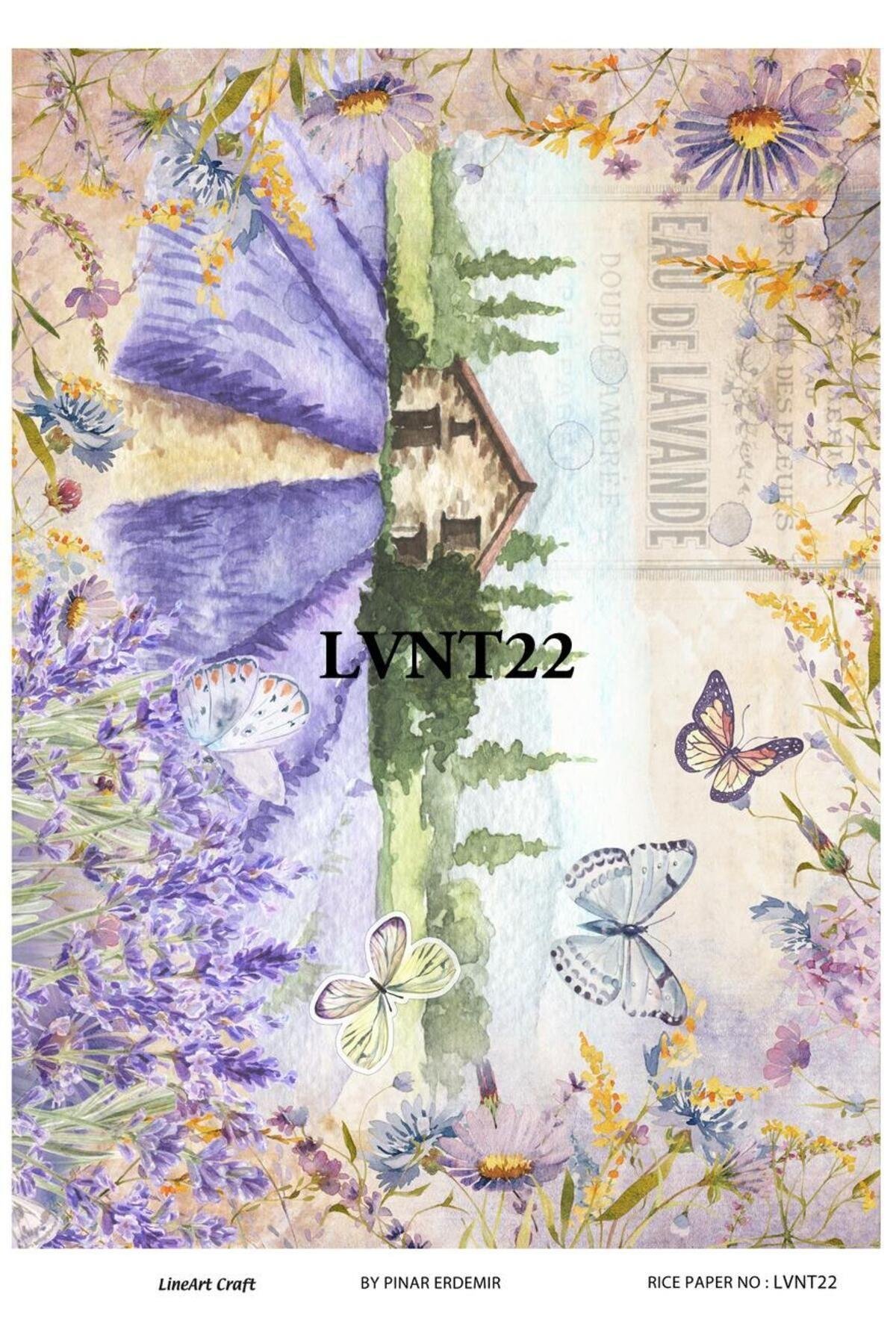 Lineart Pirinç Dekopaj Rıce Paper LVNT22