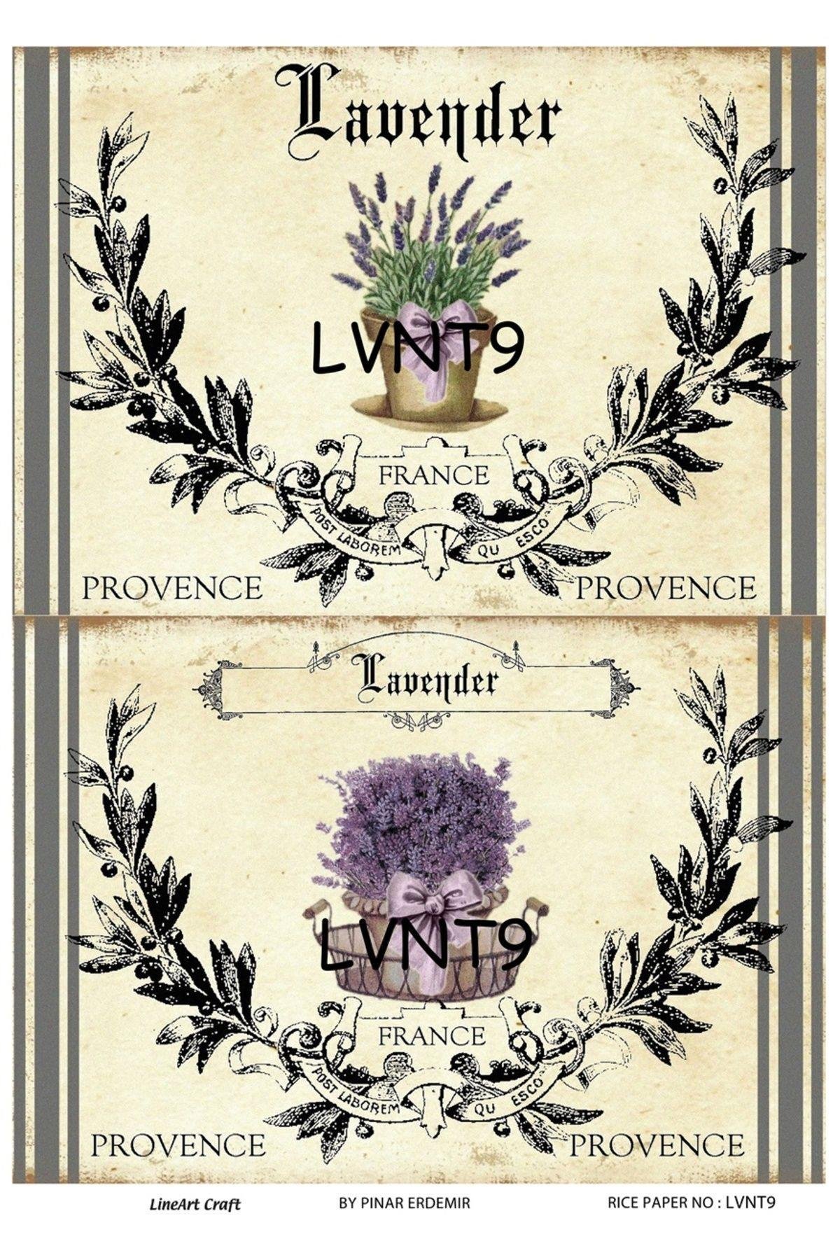 Lineart Pirinç Dekopaj Rıce Paper LVNT9