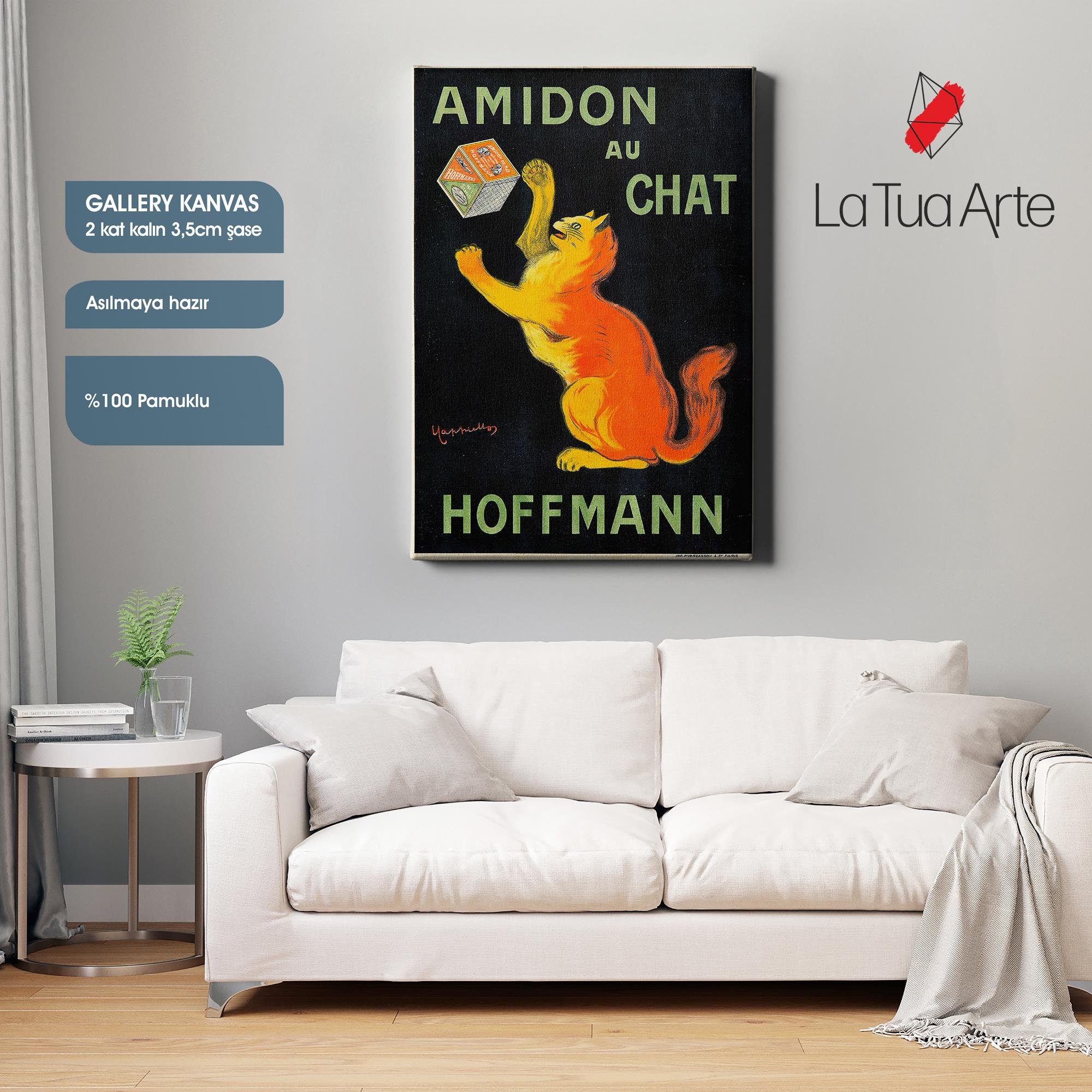 AMIDON AU CHAT