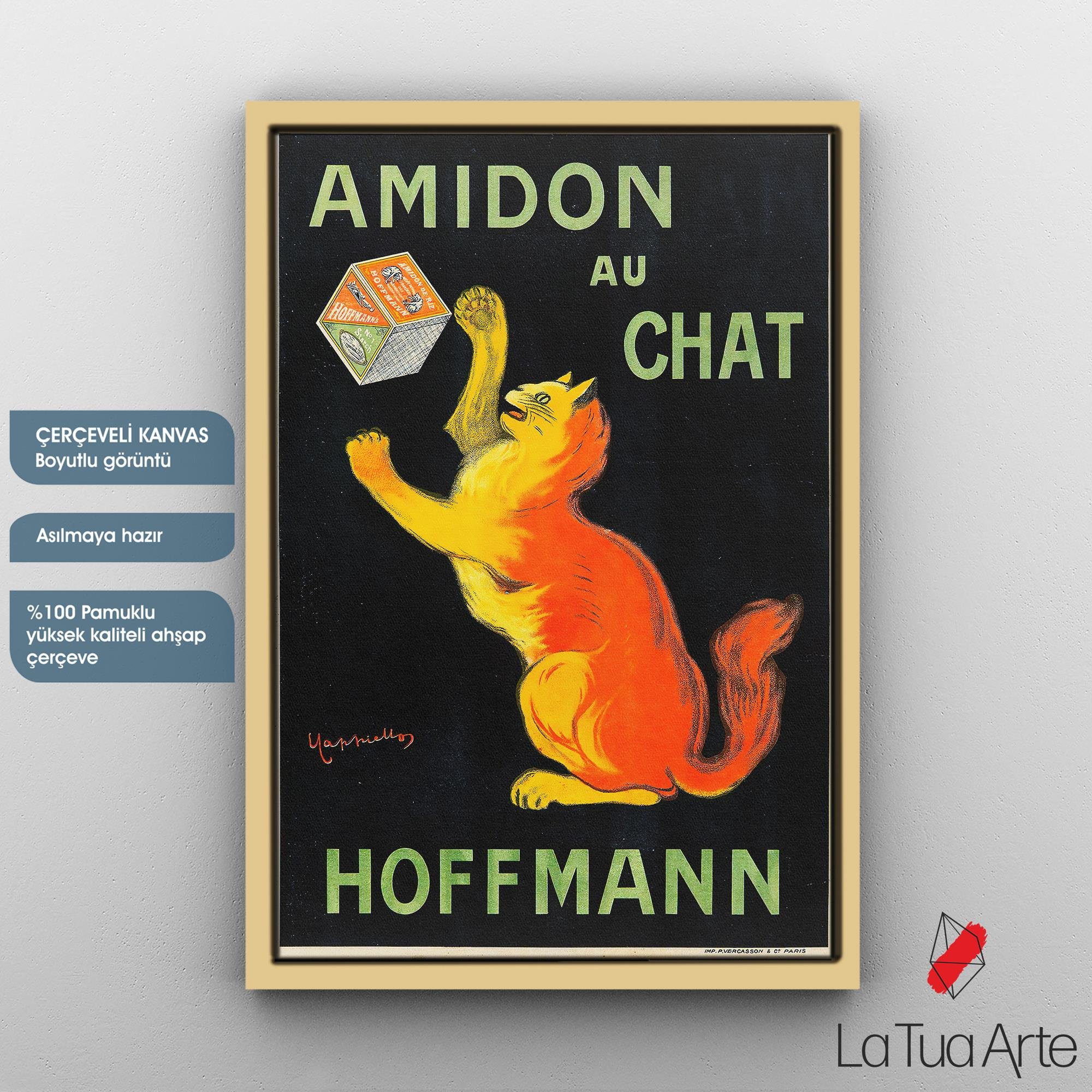 AMIDON AU CHAT