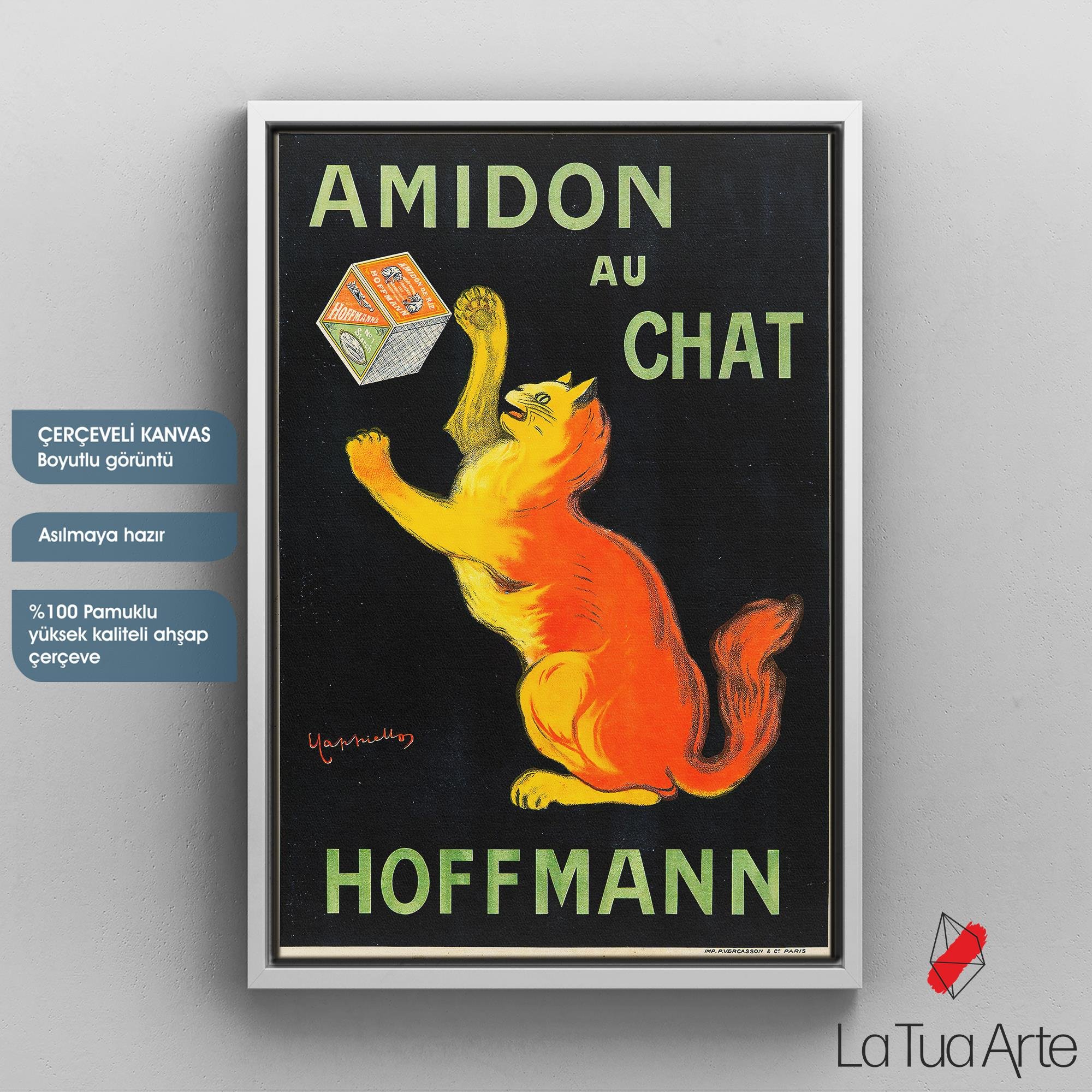 AMIDON AU CHAT