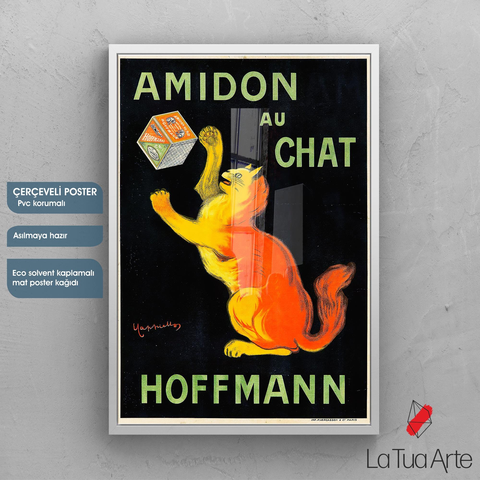 AMIDON AU CHAT