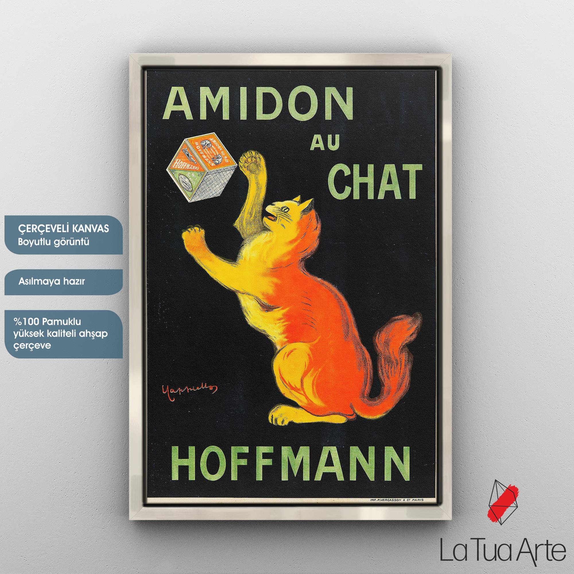 AMIDON AU CHAT