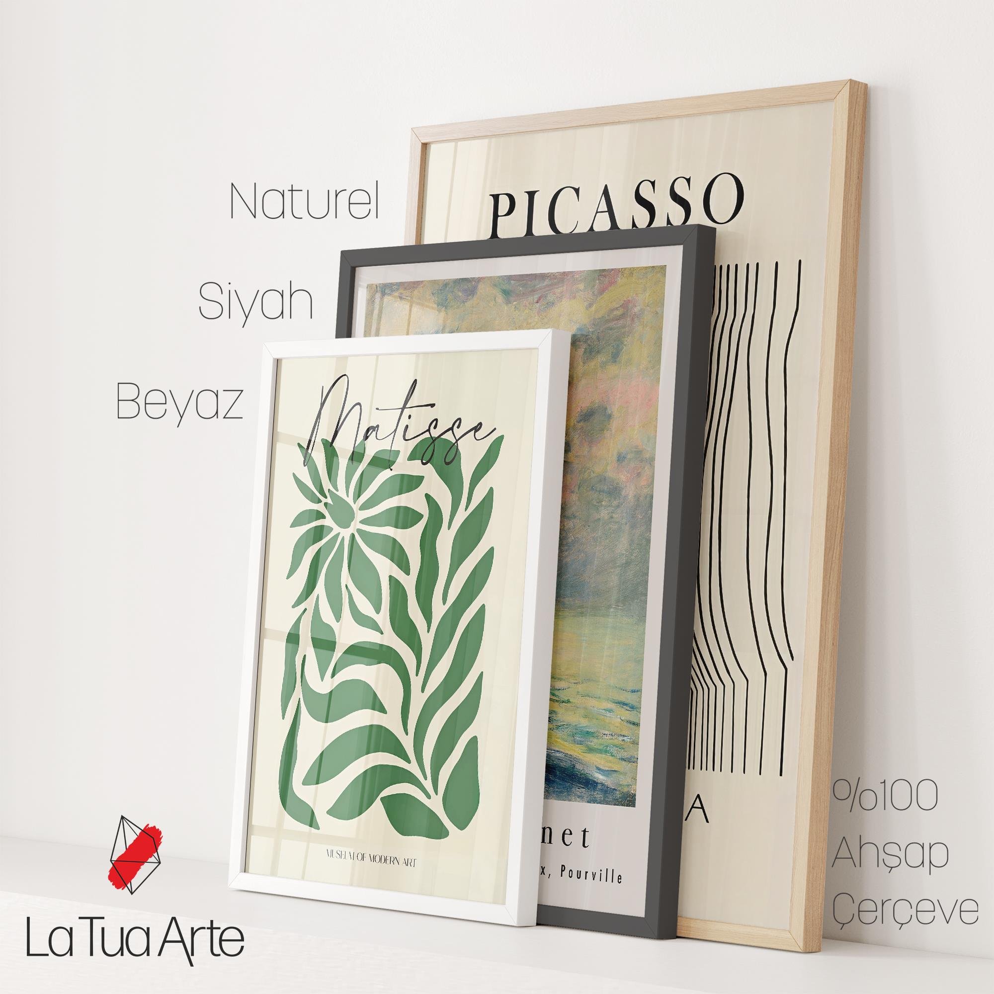 BAYKUŞ