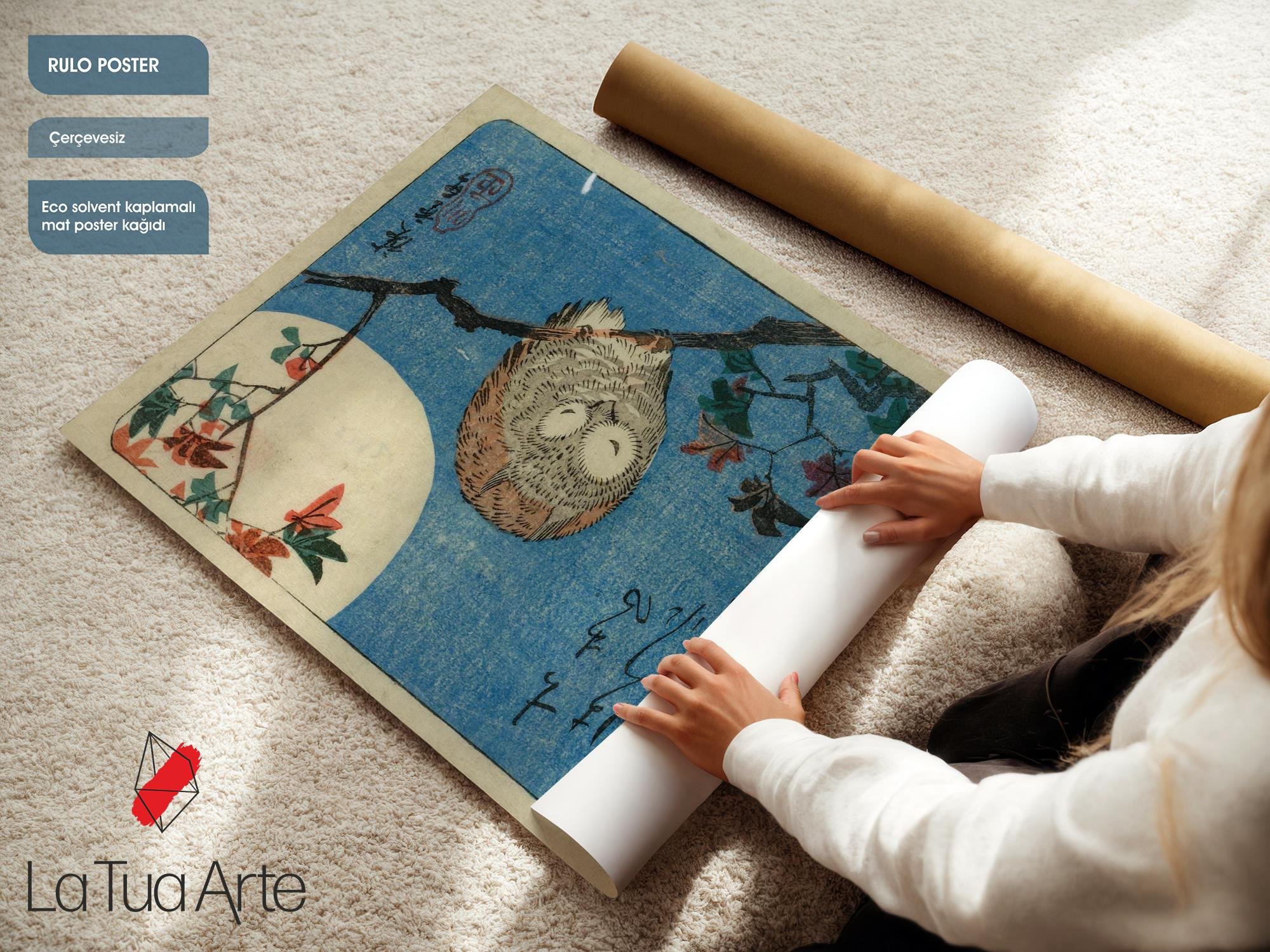 BAYKUŞ