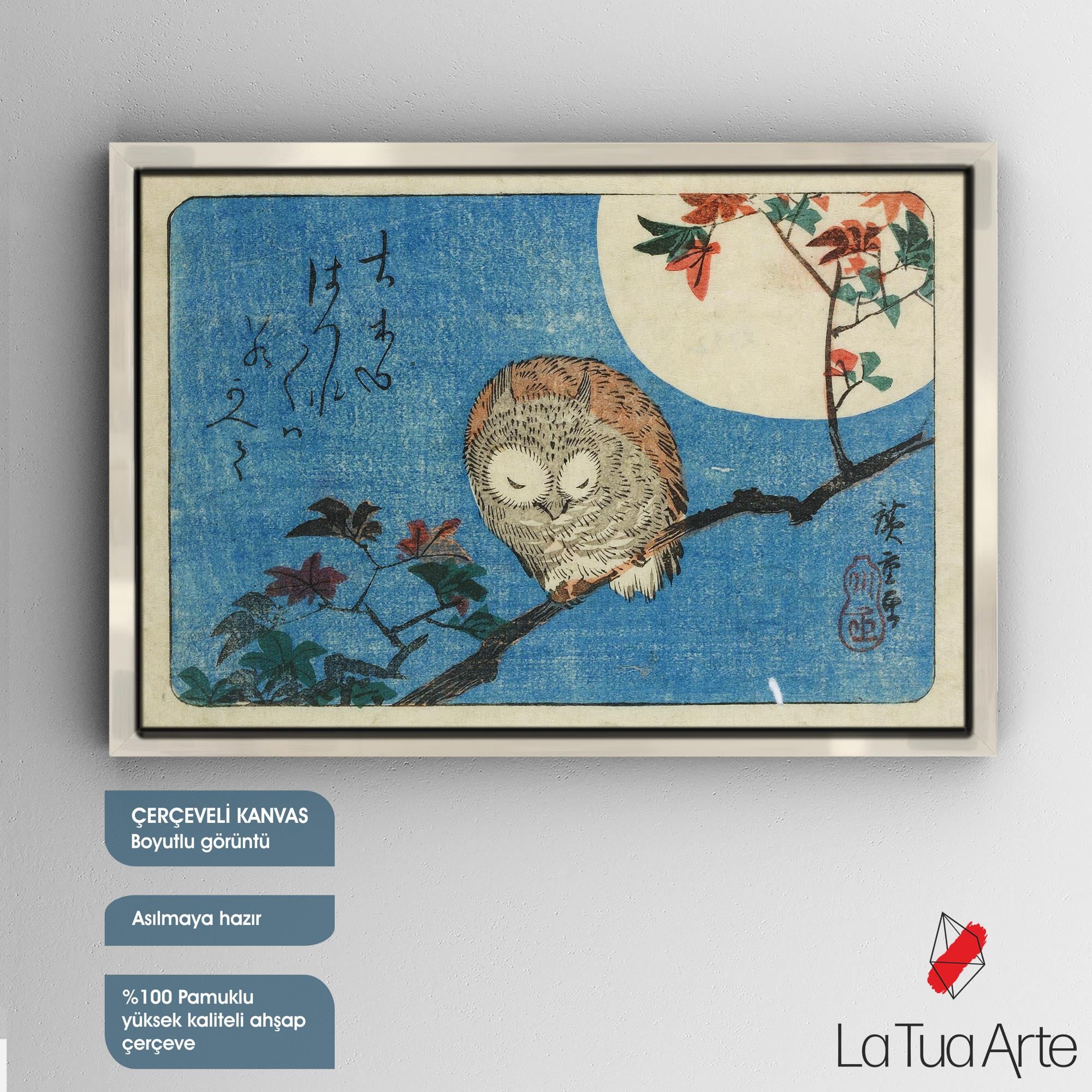 BAYKUŞ