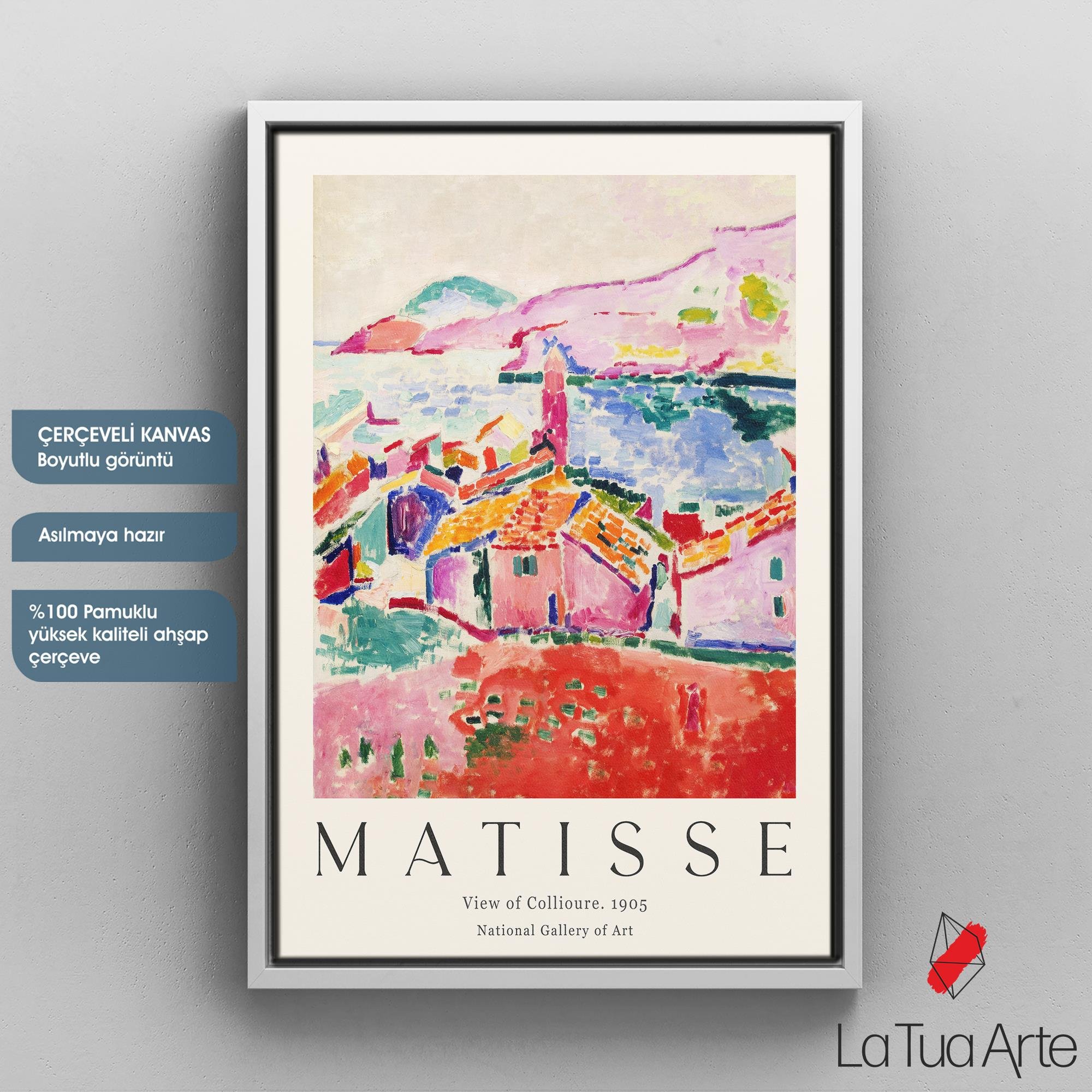 MATISSE1