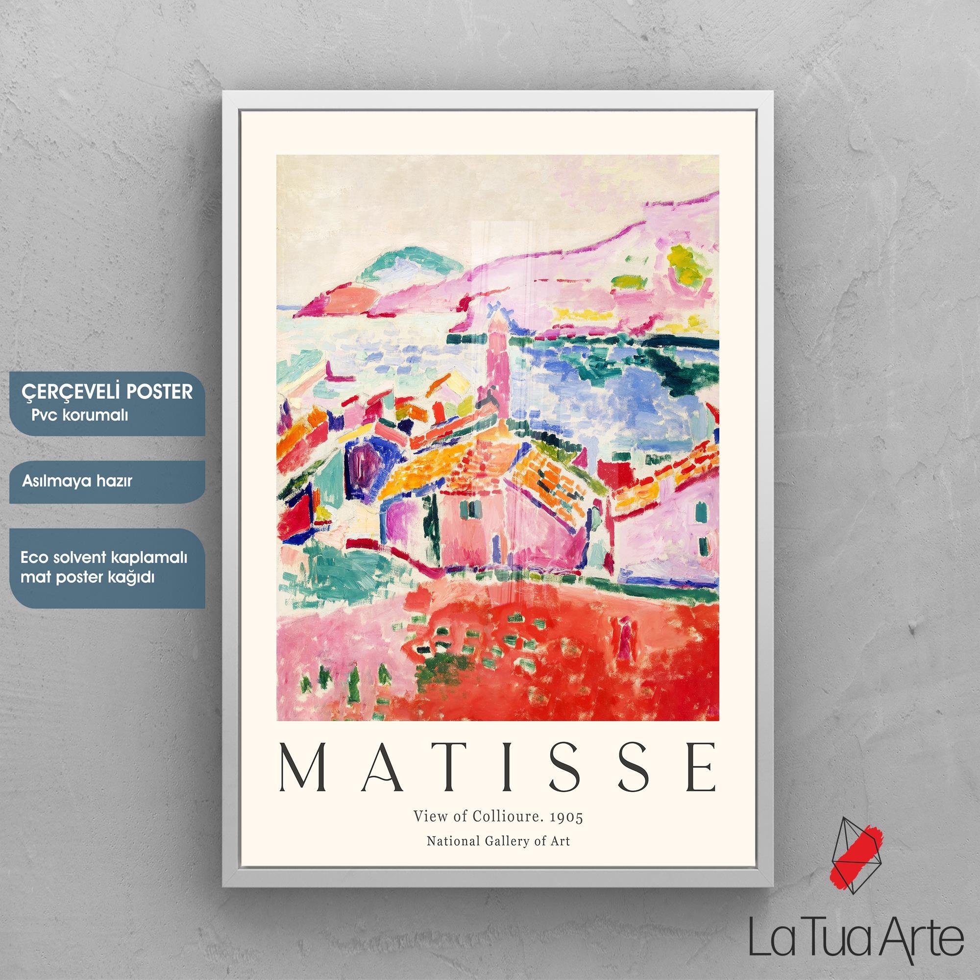 MATISSE1