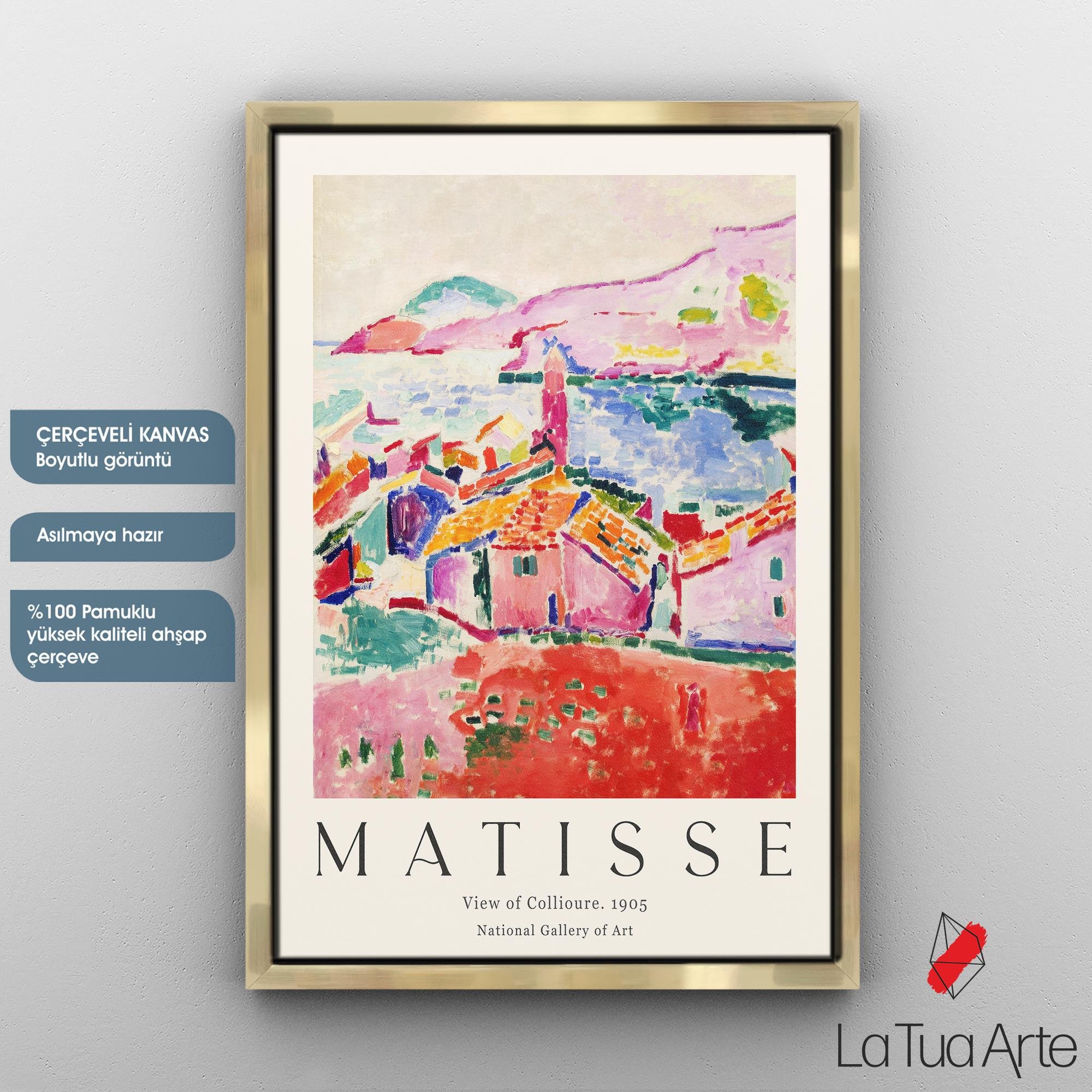 MATISSE1