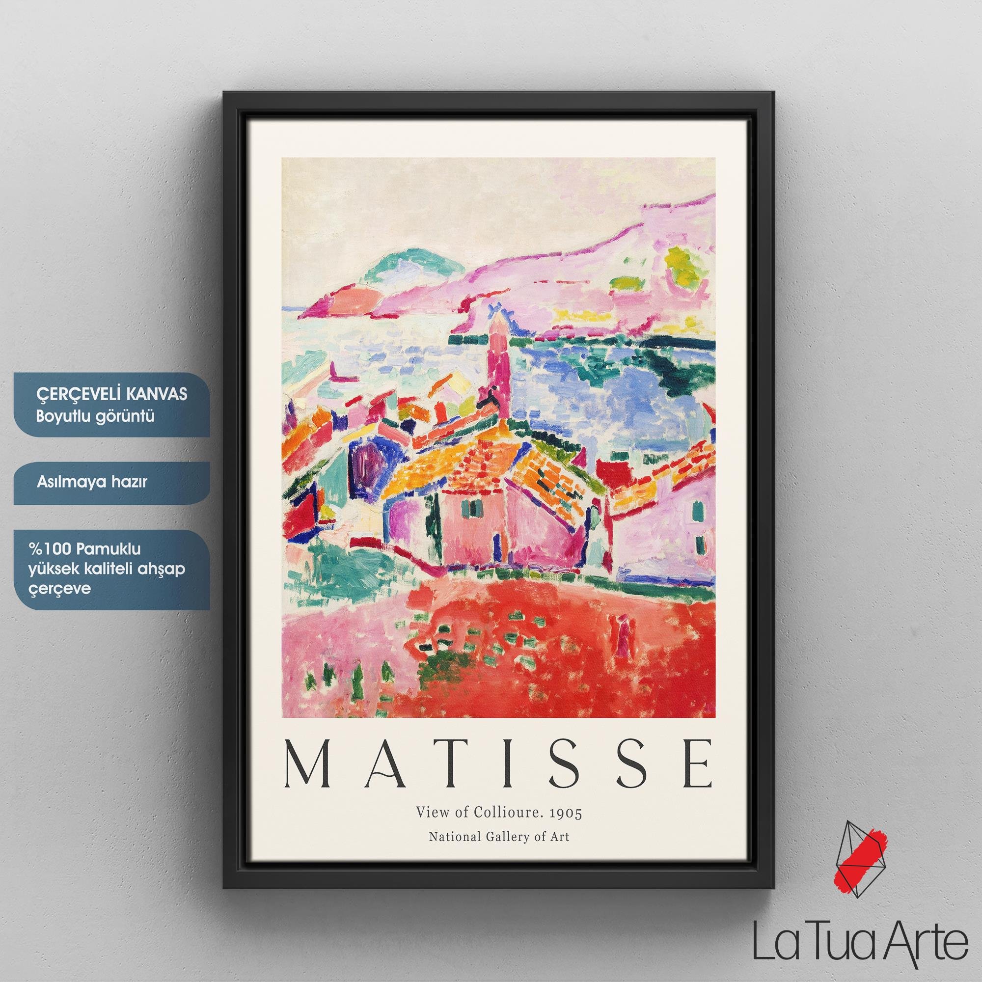 MATISSE1